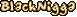 BlackNigga