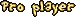 Pro player